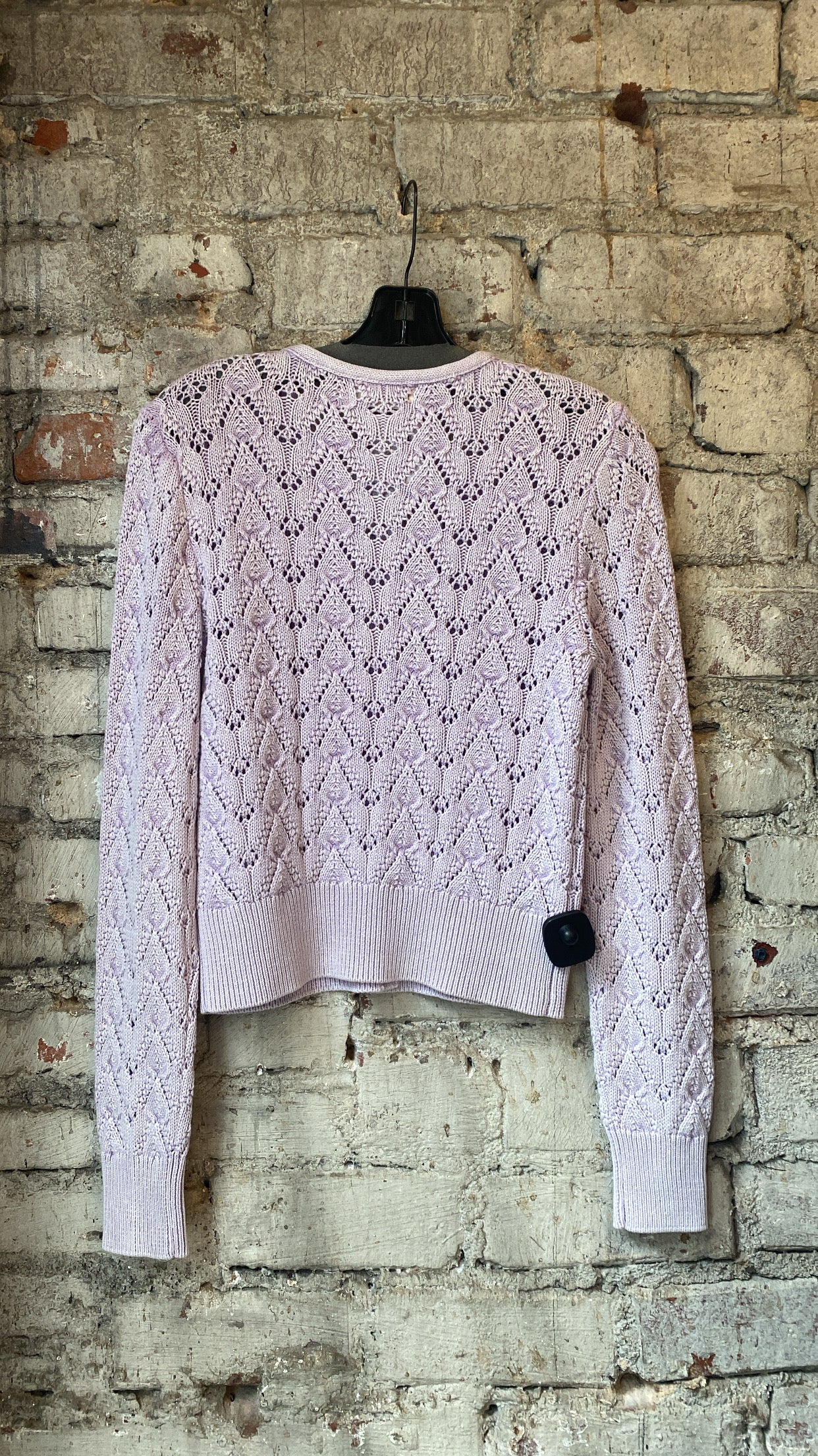 Free People Pretty in Pointelle Cardi