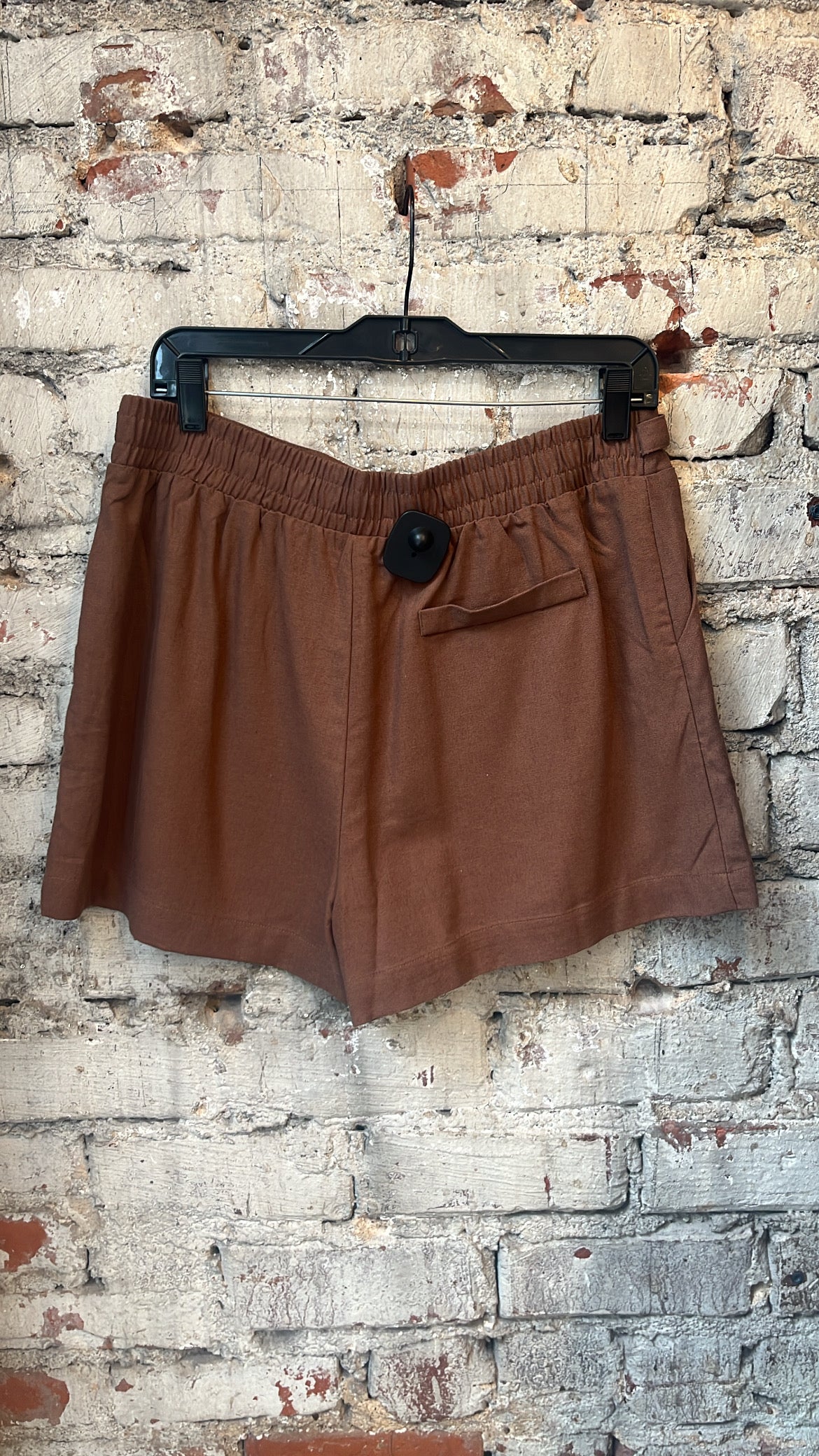 Espresso Summer Shorts