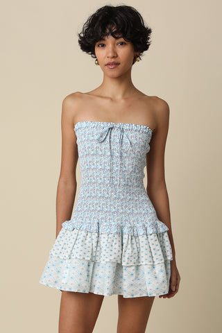 The Wild Blue Dress