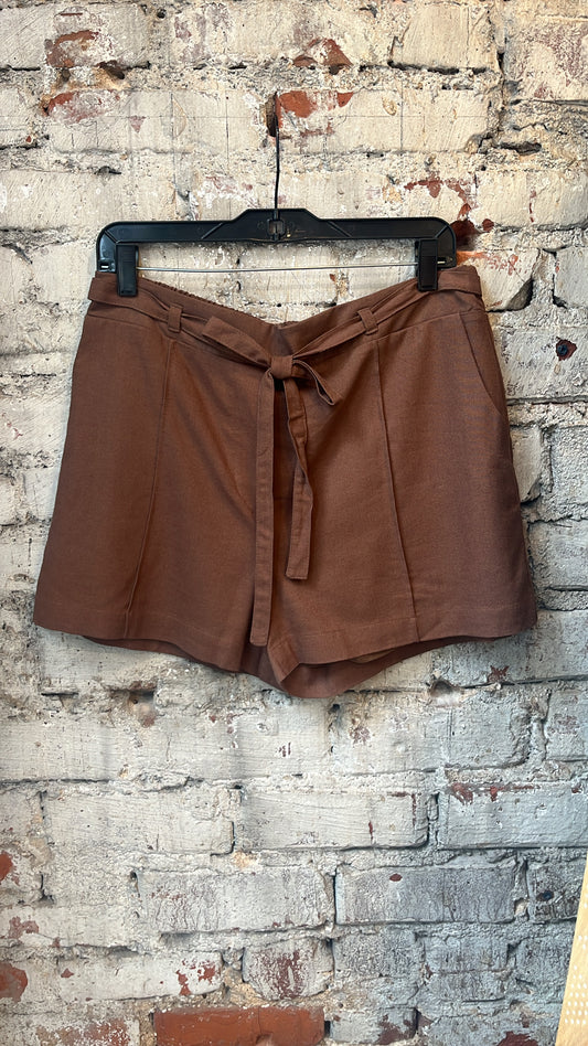 Espresso Summer Shorts