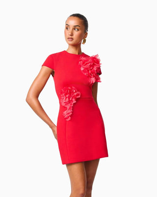 Elliatt Martina Applique Mini Dress