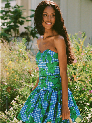 Hutch Junie Strapless Belted Mini Dress