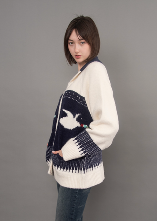 RD Style Taji Shawl Neck Cardigan