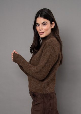 RD Style Erin Turtleneck Sweater