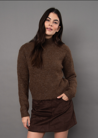 RD Style Erin Turtleneck Sweater