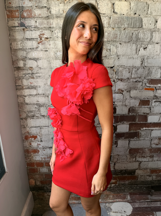 Elliatt Martina Applique Mini Dress