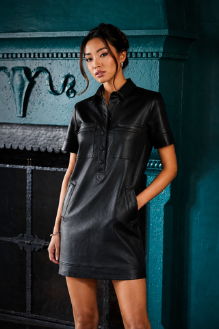 PRE-ORDER Kut from the Kloth Tatiana Dress