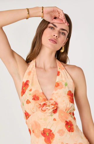 ASTR Yasmeen Floral Halter Godet Maxi Dress