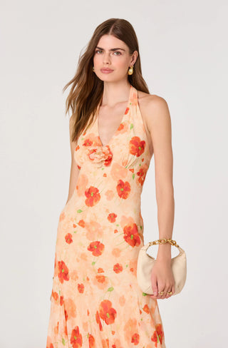 ASTR Yasmeen Floral Halter Godet Maxi Dress