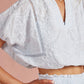Bluebird Spring Set