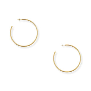 Bracha Torrence Everyday Hoops