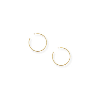 Bracha Torrence Everyday Hoops